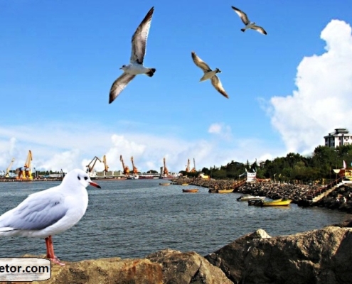 Bandar_e_Anzali_Iran_-_breakwater Bandar e Anzali Iran breakwater