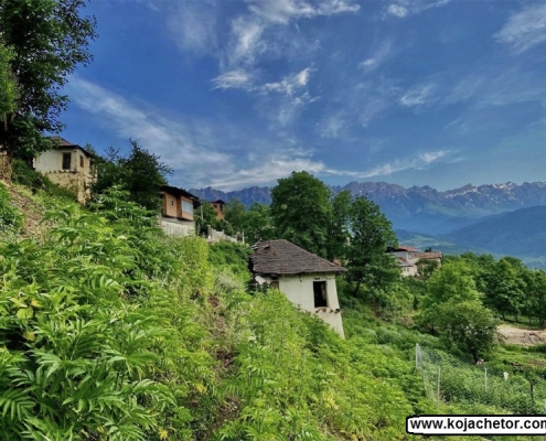 Elit-village-in-iran روستای الیت چالوس