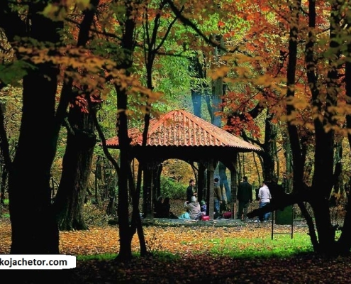 Golestan National Park 1 1
