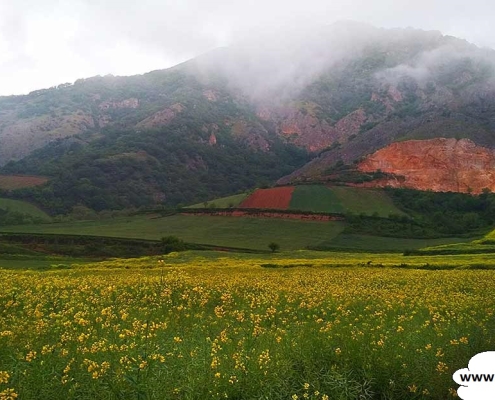 Golestan National Park 2 1