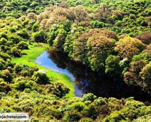 Golestan National Park 6