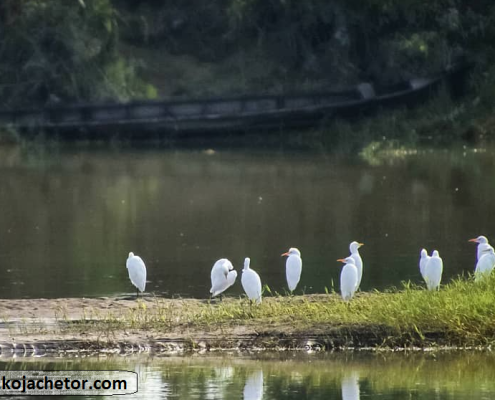 boojagh national park 3