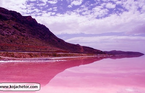 chabahar pink lake 1 chabahar pink lake 1