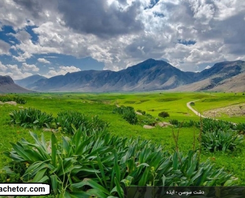دشت سوسن| dashte susan