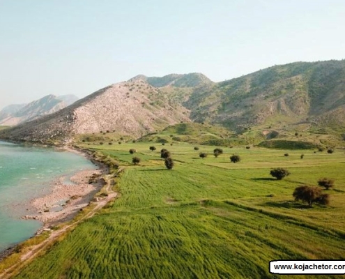 دشت سوسن ایذه