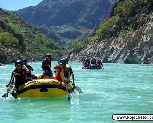 دشت سوسن در تابستان