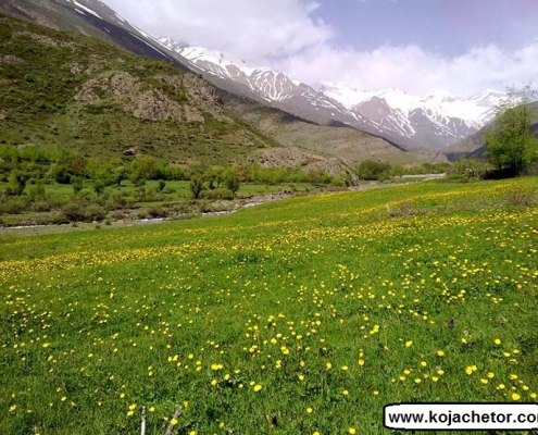 elit village 1 روستای الیت چالوس