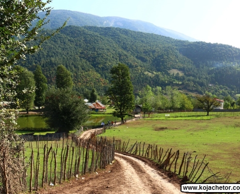 elit village 3 روستای الیت چالوس