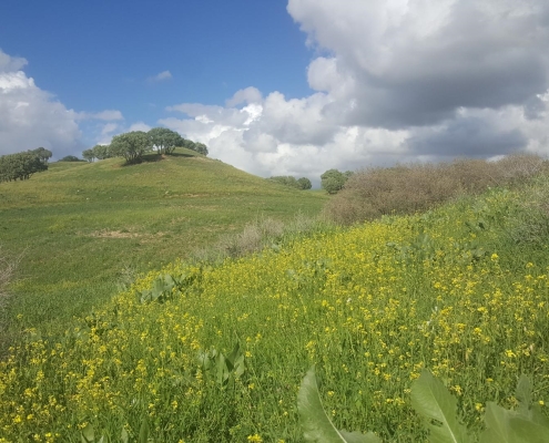 مسیر آبشار تنگ گولم در فصل بهار