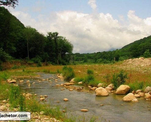 golestan national park 2