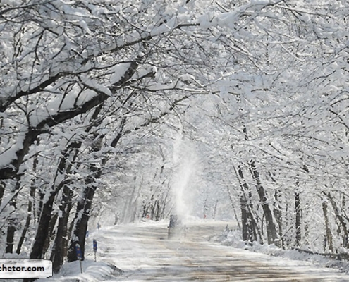 golestan national park 6