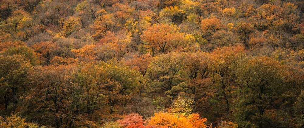 golestan national park 7