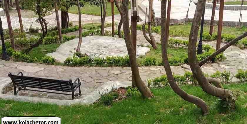 narenj of garden lahijan