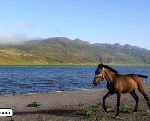 دریاچه نئور اردبیل