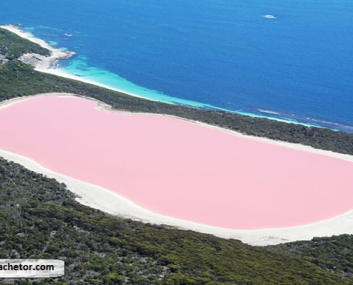 pink-lake-in-chabahar pink lake in chabahar