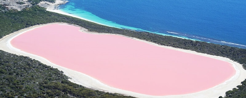 pink lake in chabahar