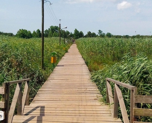 wooden bridge Bojag National Park Kiashahr Gilan 1