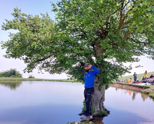 abgir-galdian-7 تک درخت آبگیر گلدیان رودبار