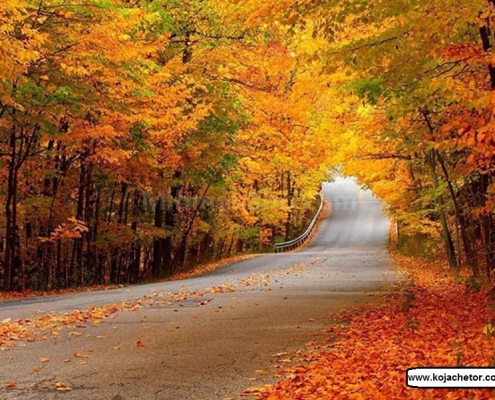 alangdareh 3 جنگل النگدره گرگان