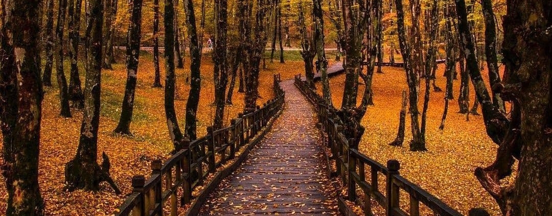 پارک جنگلی النگدره گرگان