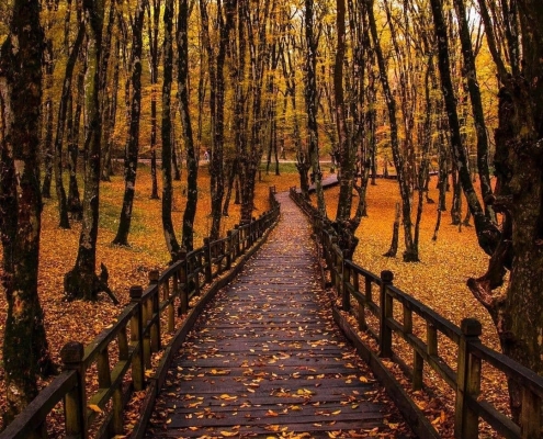 alangdareh park 3 پارک جنگلی النگدره گرگان