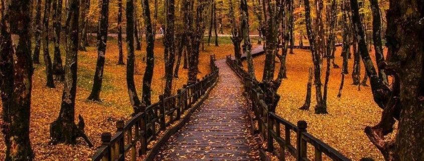 پارک جنگلی النگدره گرگان