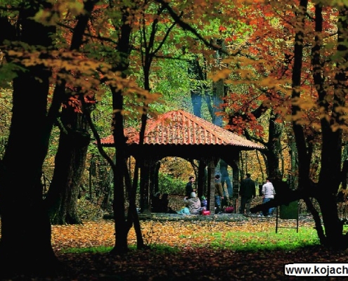 alangdareh park 4 جنگل النگدره گرگان