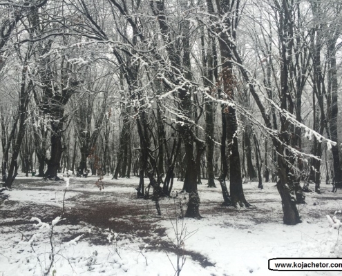 alangdareh park 5 النگدره گرگان