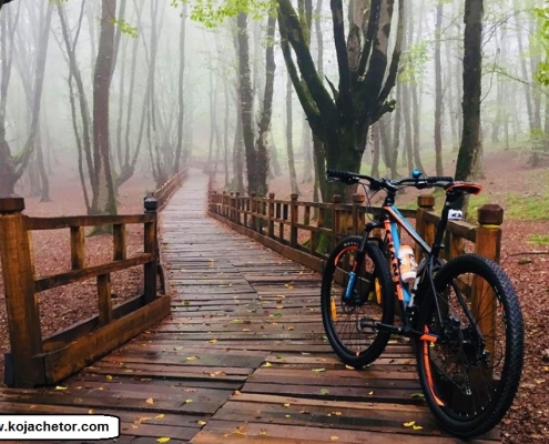 alangdareh park 7 پارک النگدره گرگان