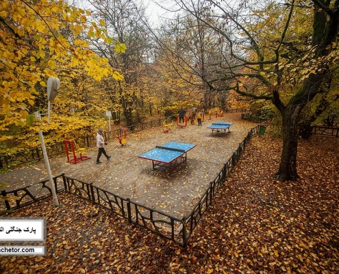 alangdareh park 9 جنگل النگدره در پاییز