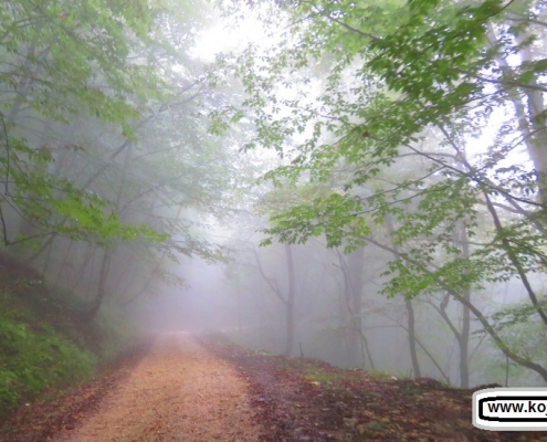 مسیر آبشار آلاشور نوشهر