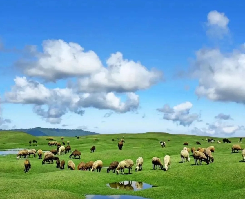 طبیعت برفچال مینودشت