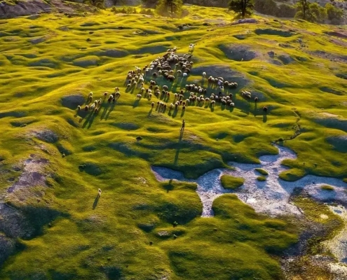 برفچال مینودشت