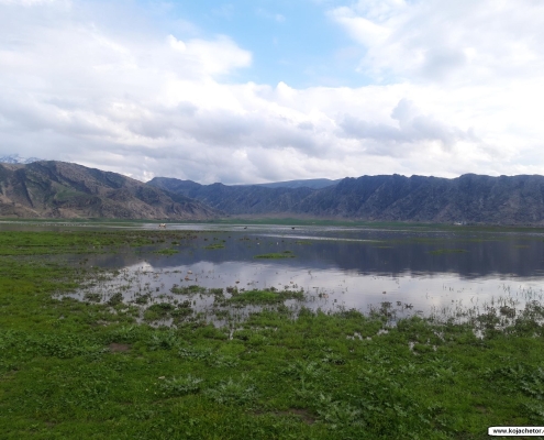 bondoun 2 تالاب بندون خوزستان