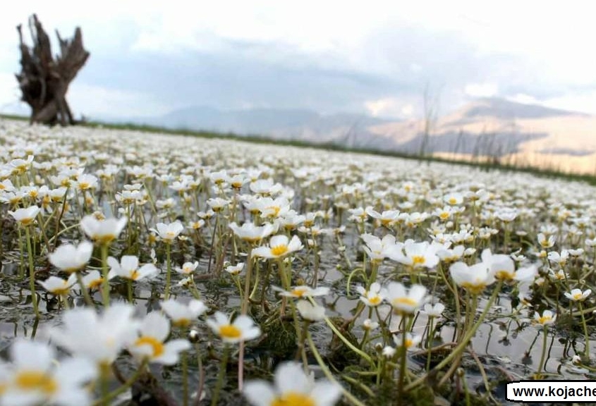 bondoun 4 تالاب بندون ایذه