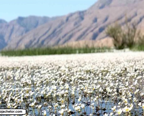 bondoun تالاب زیبای بندون