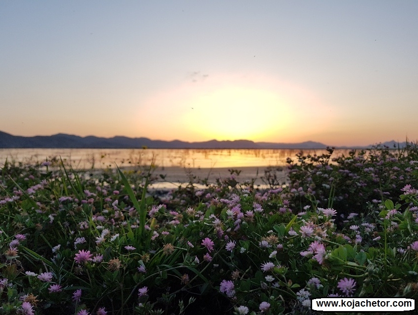 bondoun 6 تالاب بندون خوزستان و طبیعت زیبایش