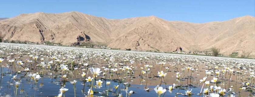 تالاب زیبای بندون در شهرستان ایذه