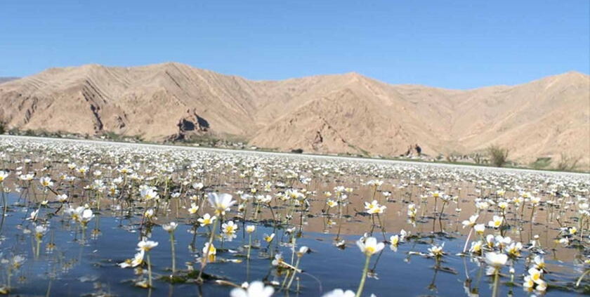 تالاب زیبای بندون در شهرستان ایذه