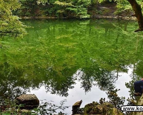 darno waterfall 5 آبشار دارنو نوشهر