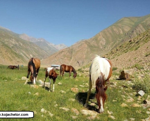 deryouk waterfall 6 آبشار نمارستاق دریوک آمل