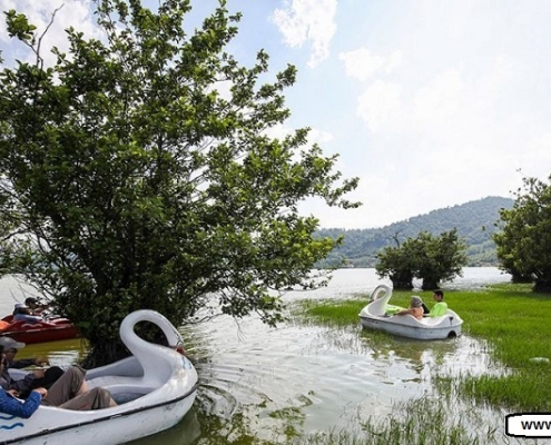 قایق سواری در تالاب استیل آستارا