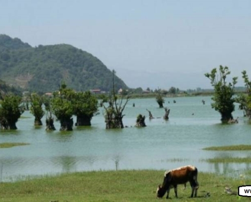 تالاب استیل آستارا