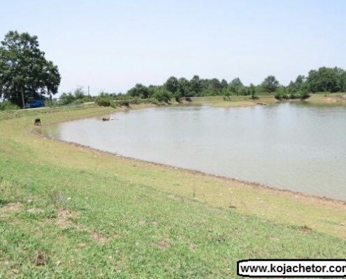 دریاچه فشتال گیلان