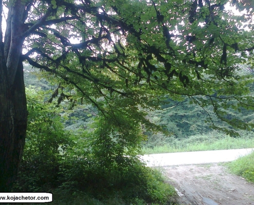 طبیعت زیبای اب بندان قرن اباد | منبع عکس : گوگل