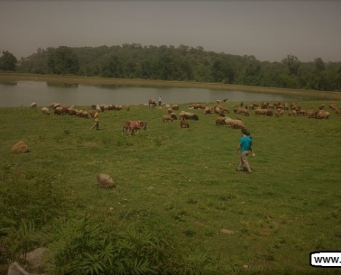 اب بندان قرن اباد