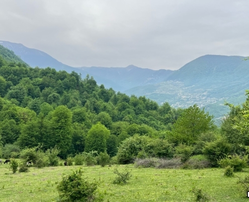 جنگل زیبای آب بندان قرن آباد گرگان | منبع عکس: گوگل