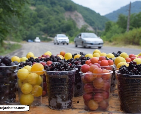 heyran 7 میوه های جنگلی در کنار جاده گردنه حیران