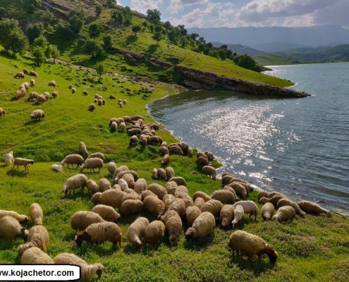 طبیعت تنگه کافرین