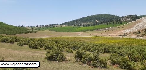 markoh plain 3 دشت مرکوه مینودشت